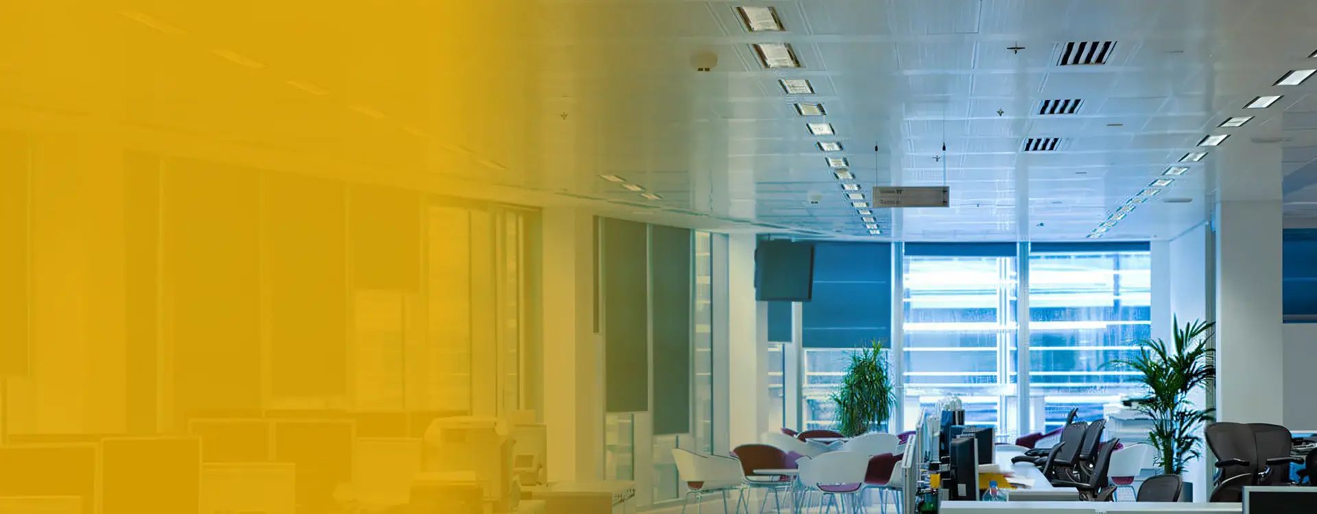 Estação De Trabalho